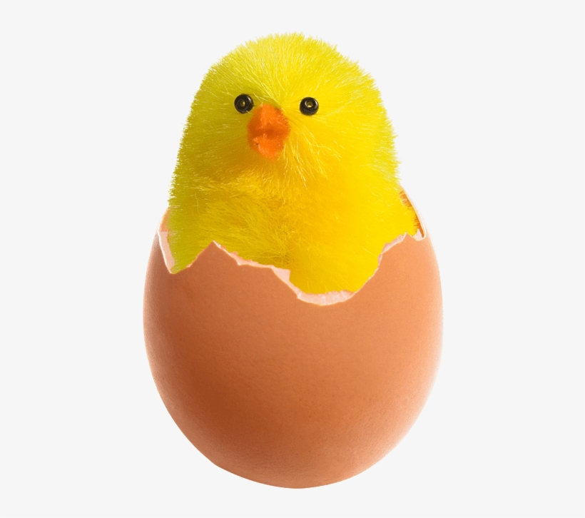 Free Png Chicken In Broken Egg Png Images Transparent - Chicken In Egg Png, transparent png download