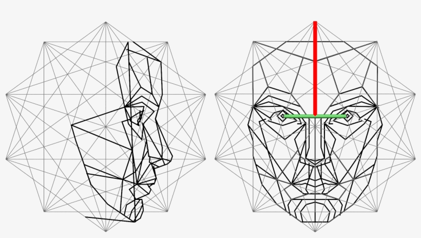 The Golden Ratio In 3d Human Face Modeling - Golden Ratio Mask, transparent png download