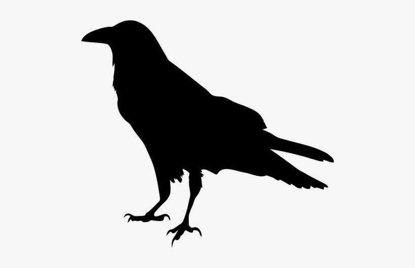 A Crow Can Caw Draw - Raven Silhouette, transparent png download