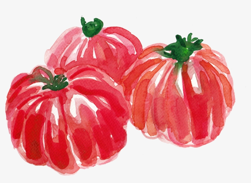 Tomatoes - Commissions Tomatoes - Commissions - Surinam Cherry, transparent png download