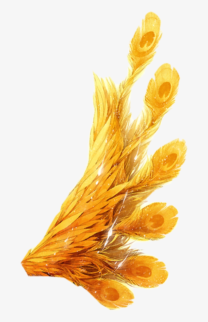 Hand Painted Peacock Feathers Transparent Decorative - Feather, transparent png download