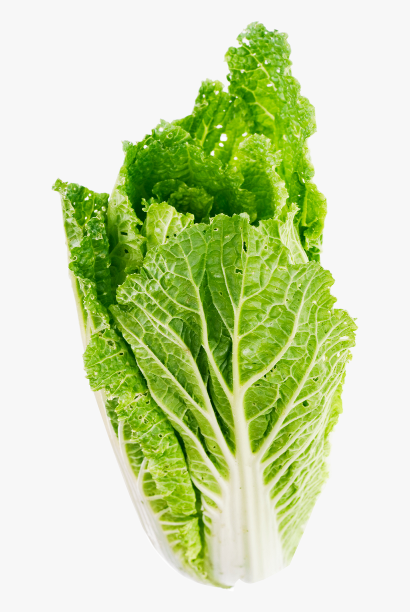 Lettuce Leaf Png Clipart Royalty Free Library - Lettuce Png, transparent png download