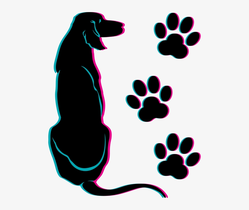 Head To Paws Mobile Dog Grooming Is A Mobile Dog Grooming - Transparent Puppy Paws, transparent png download