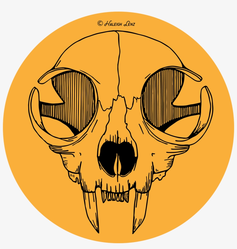 Skull, transparent png download