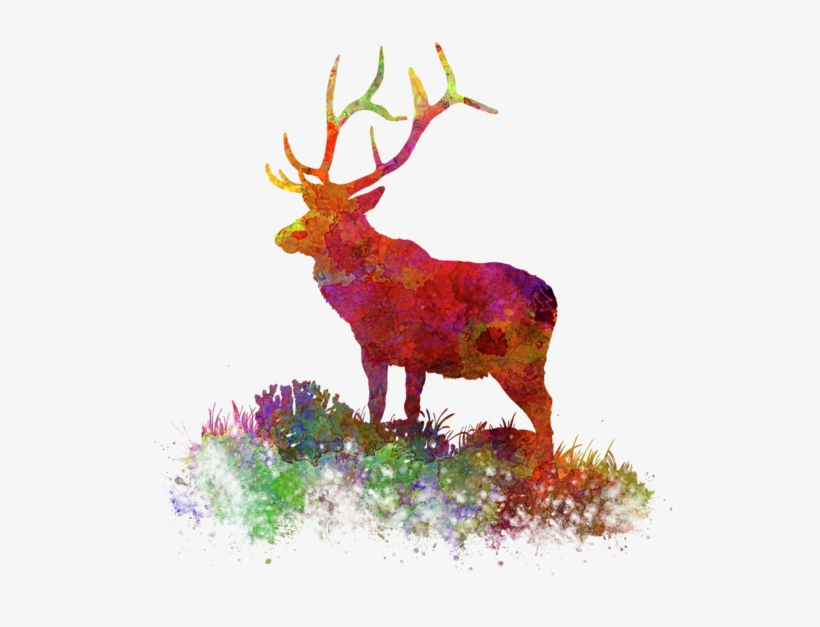 Bleed Area May Not Be Visible - Watercolor Painting, transparent png download