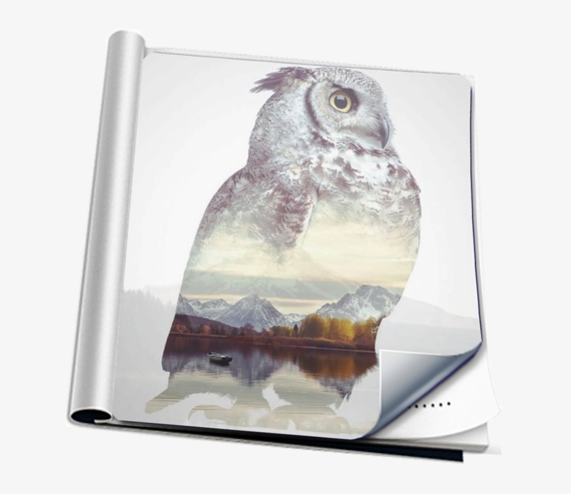 Accordion Fold Transition On The Mac App Store - Double Exposure Owl Tattoo, transparent png download