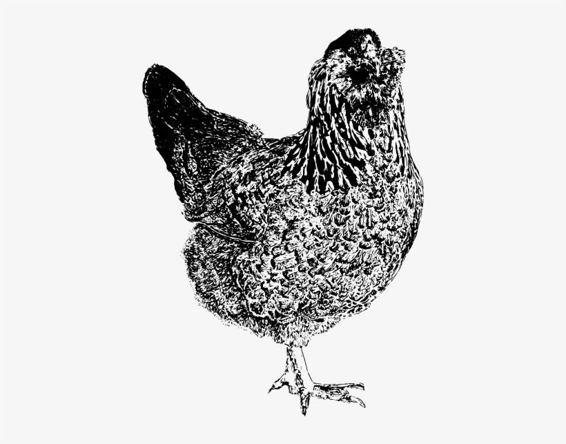 Keep In Touch - Easter Egger, transparent png download