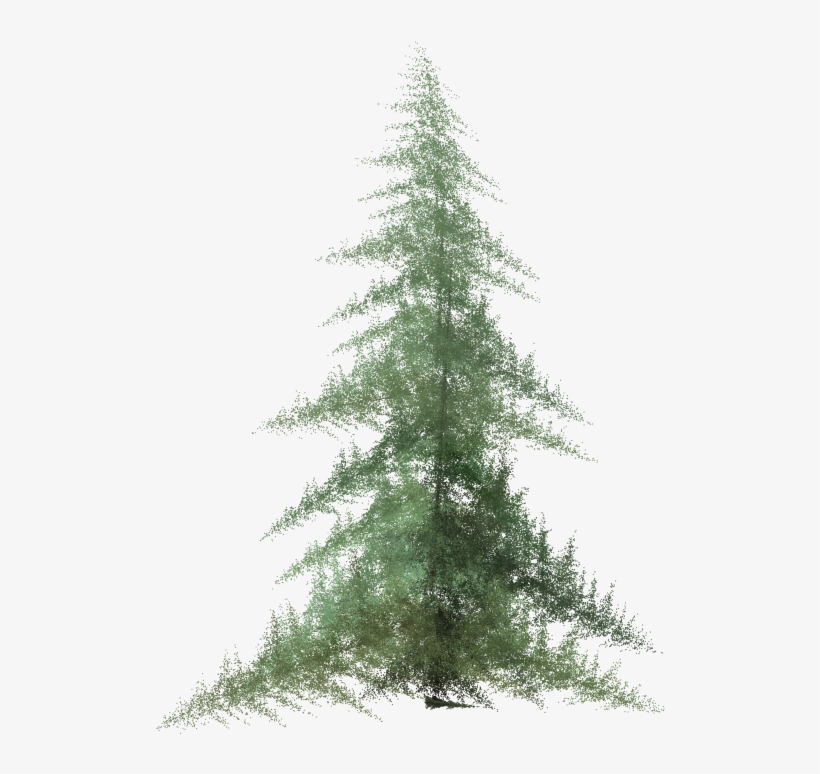 Ifs Pine - Christmas Pine Tree In Watercolor, transparent png download