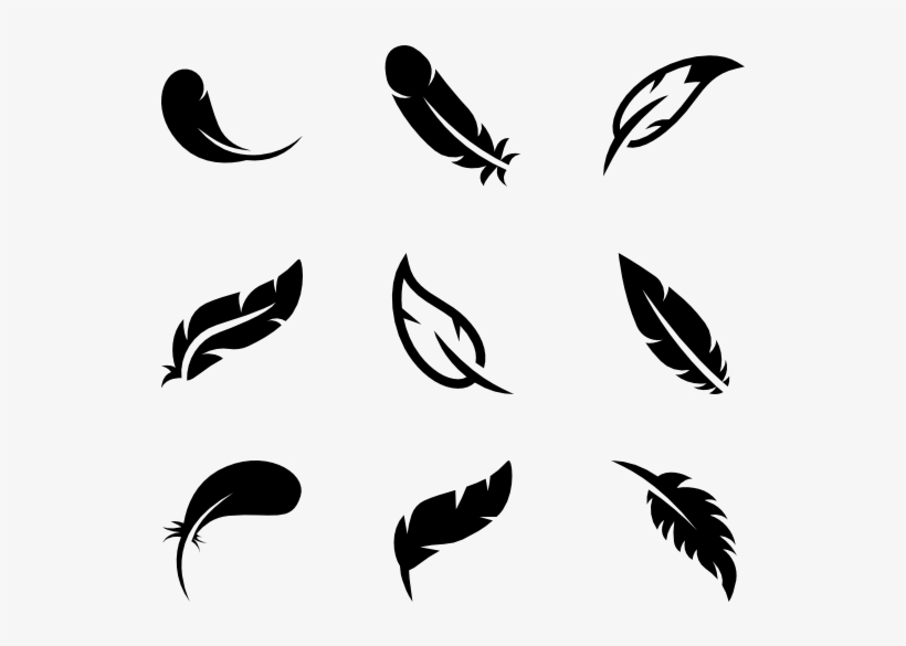 Bird Feathers - Bird Icon, transparent png download