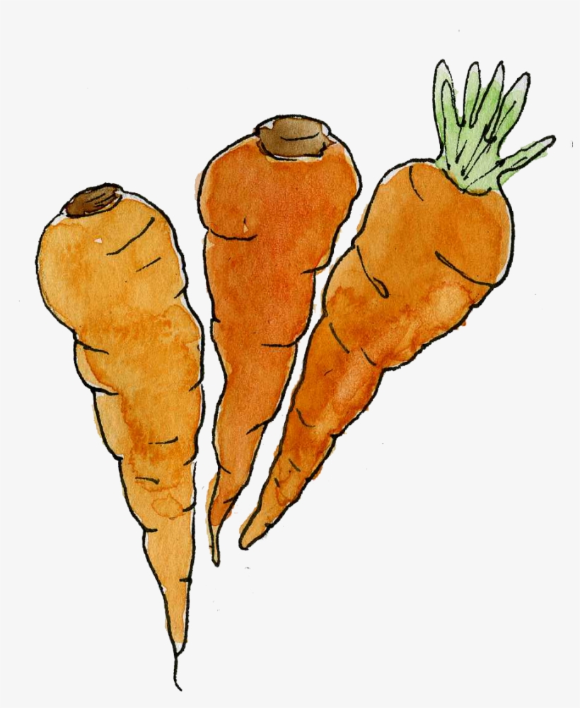 Painted In A Playful Style These Cute Yet Elegant Watercolour, transparent png download