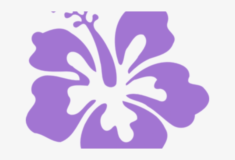 Black And White Hibiscus Flower, transparent png download