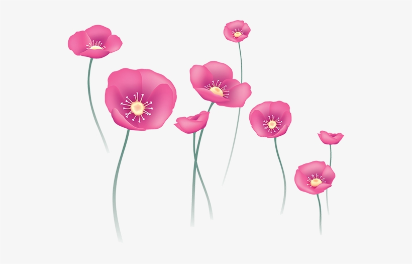 Tubes Fleurs - Field Flower Watercolor Transparent, transparent png download