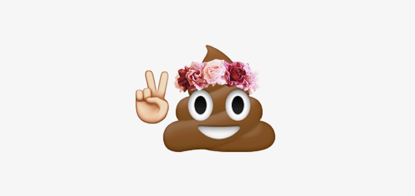 Poop Emoji With Flower Crown, transparent png download