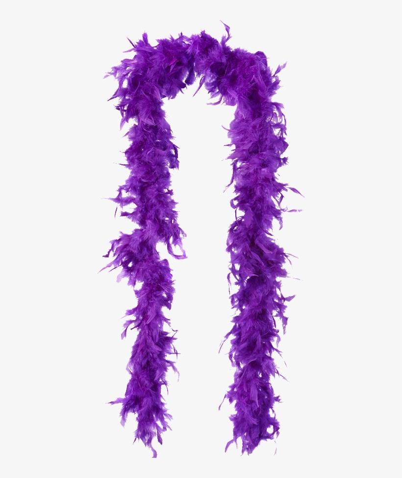 Feather Boa - Transparent Feather Boa Png, transparent png download