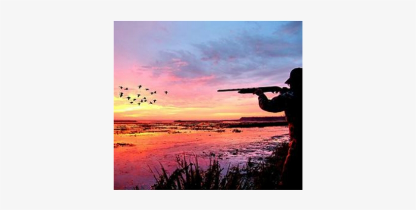 There Is Nothing Quite Like A Beautiful Sunrise While - Duck Hunting, transparent png download