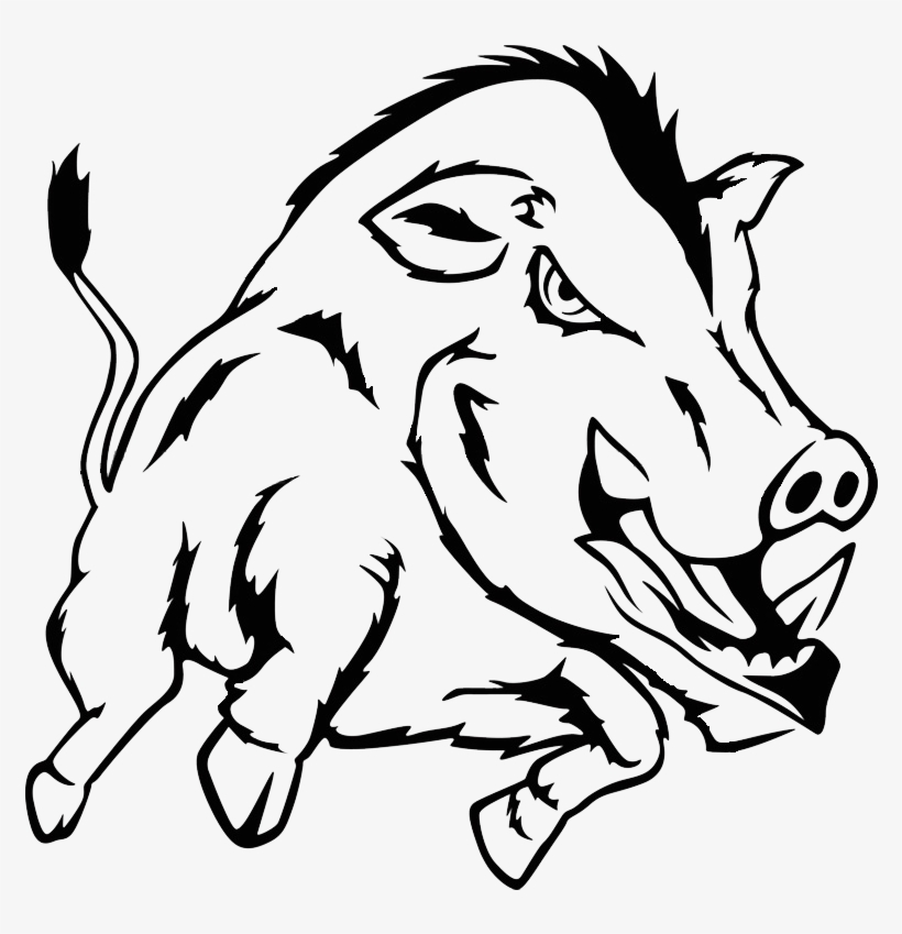 Hunting In Bulgaria - Wild Boar Black And White, transparent png download