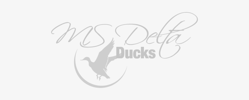 Multiple Options To Fit Your Duck Hunting Needs - Ms Delta Ducks, transparent png download