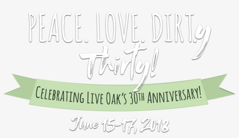 The Live Music Line Up For The 30th Annual Live Oak - Photographer, transparent png download