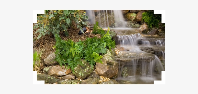 Welcome To Live Oak Landscape Services Inc - Laguna Max Flo 2200 Waterfall & Filter Pump, transparent png download