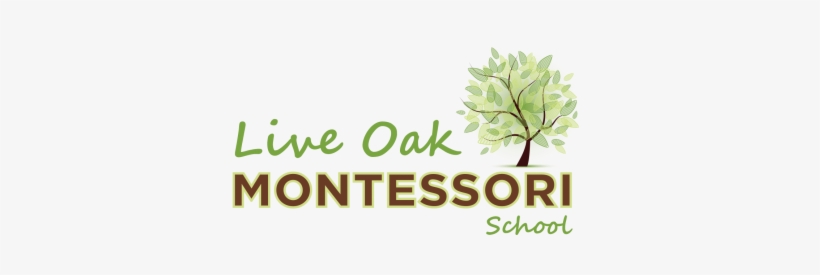 Live Oak Montessori - Monte-carlo Masters, transparent png download