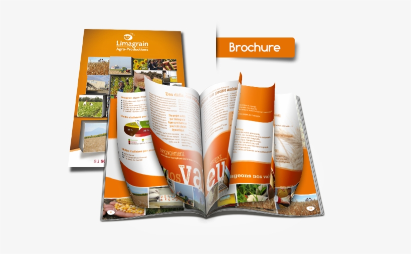 Brochures Are A Popular Format For Sharing Detailed - Brochures Png, transparent png download