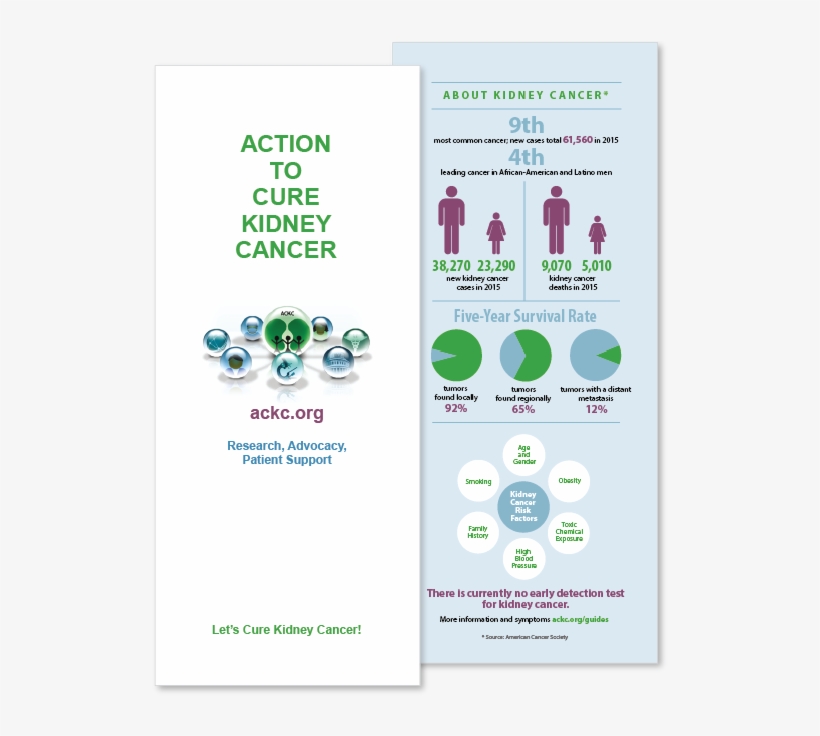 Ackc Brochure For Website Mockup 619px - Action To Cure Kidney Cancer, transparent png download