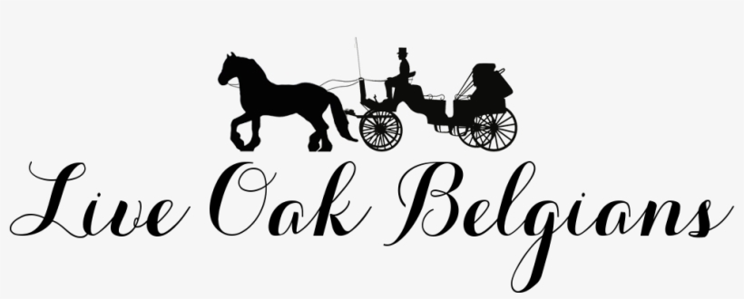 Back Home - Pferd Und Buggy Kaffeetasse, transparent png download