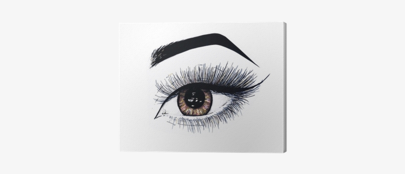 Beautiful Open Female Eye With Long Eyelashes Is Isolated - Eyes Drawing White Background, transparent png download