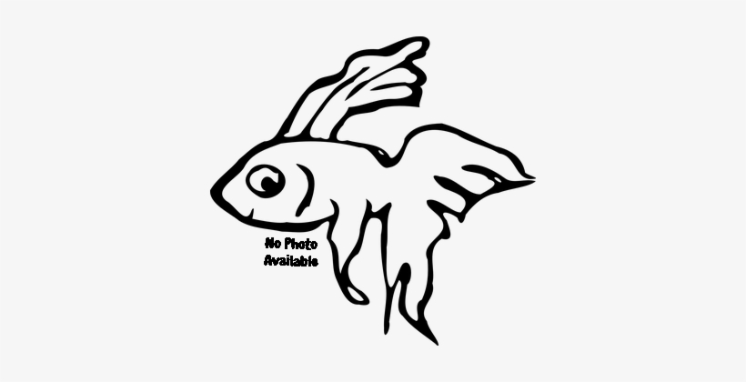 The Balloon Molly Has An Almost Comical Appearance - Black And White Betta Fish Clipart, transparent png download
