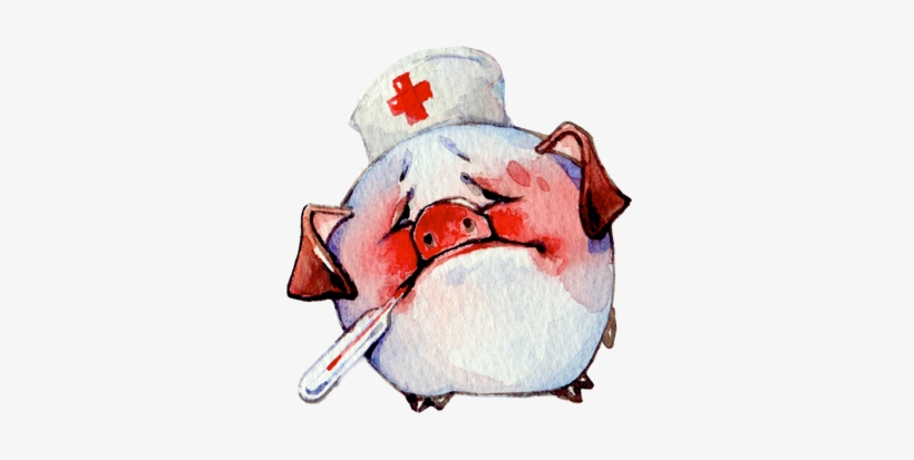 Watercolor Piggies Messages Sticker-5 - Illustration, transparent png download