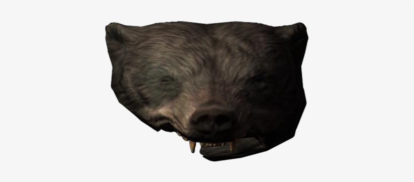 [ Img] - Boar, transparent png download