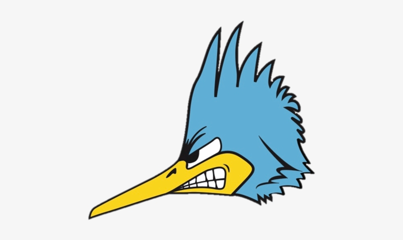 Pagelines Rr Head Logo - Pdsd Roadrunners, transparent png download