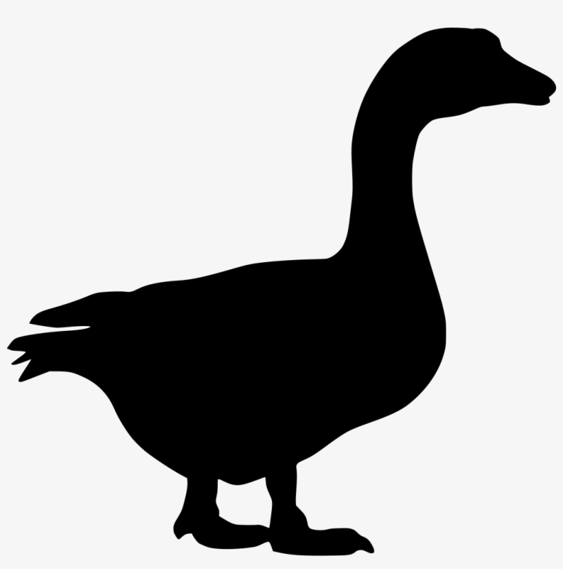 Download Png - Vector Graphics, transparent png download