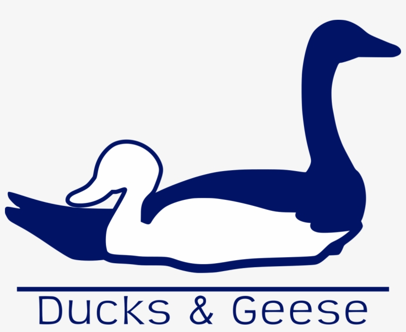 Goose, transparent png download