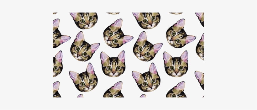 Danny - Imagenes De Fondo Gatitos, transparent png download