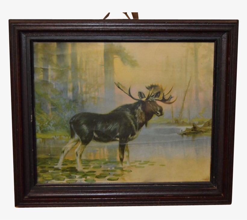 Antique Bull Moose Print Circa - Picture Frame, transparent png download