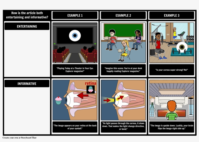Seeing Eye To Eye - Eye, transparent png download