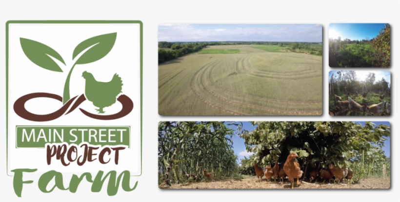 Main Street Project Farm Poultry Regenerative - Agriculture, transparent png download