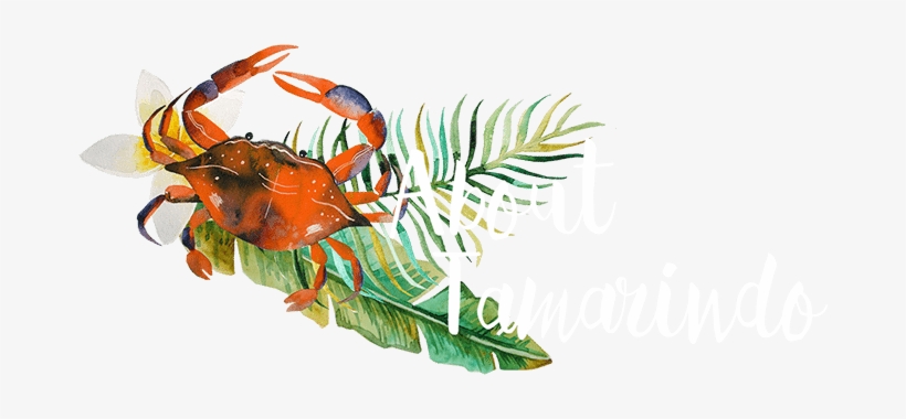 Tamarindo - Blue Crab Throw Blanket, transparent png download