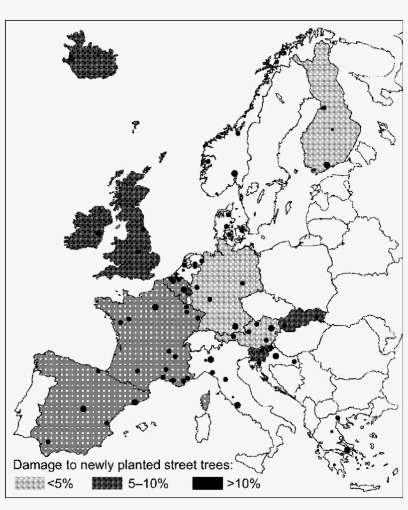 Level Of Vandalism On Trees In European Urban Areas - Dual Citizenship Map Europe, transparent png download