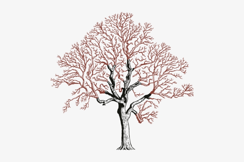 Or The Introduction Of New A Framework In The Scaffold - London, transparent png download