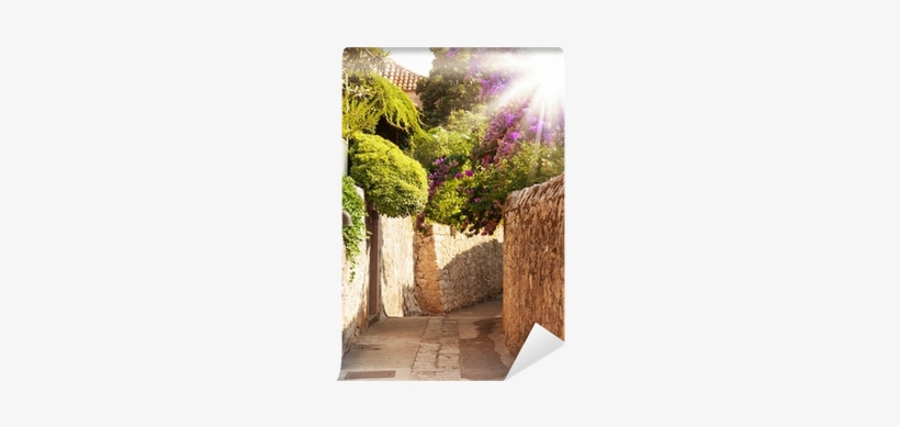 Mediterranean Street With Flowers And Trees Wall Mural - Yard, transparent png download