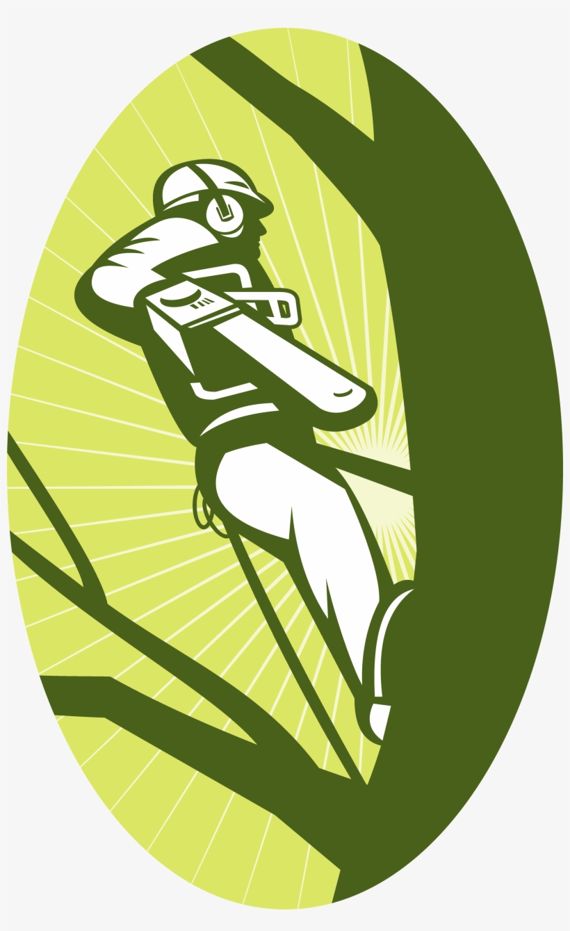 Along The Street From A Streetlight Or Interferes With - Man Trimming Tree Clip Art, transparent png download