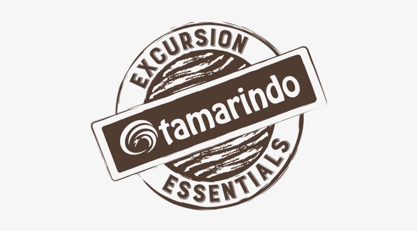 Shop - Swallow Doretti, transparent png download