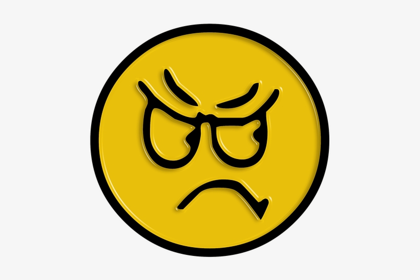 Then Took Haman The Apparel And The Horse, And Arrayed - Happy Smiley, transparent png download