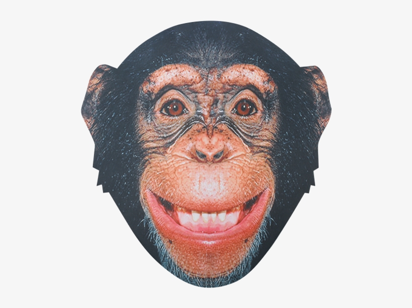 Bobble Hedz Chimp Mask - Chimp Face, transparent png download