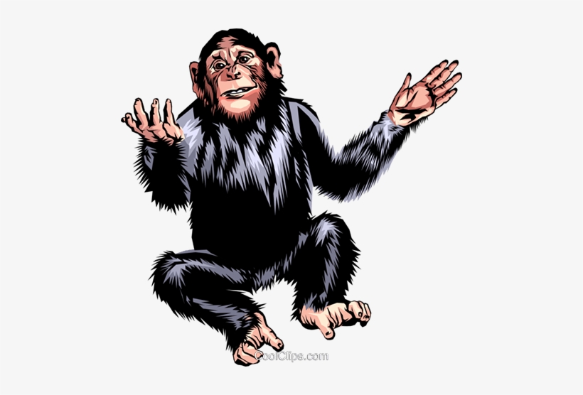 Chimpanzee Royalty Free Vector Clip Art Illustration - Alfabetul Pentru Copii Litera M, transparent png download