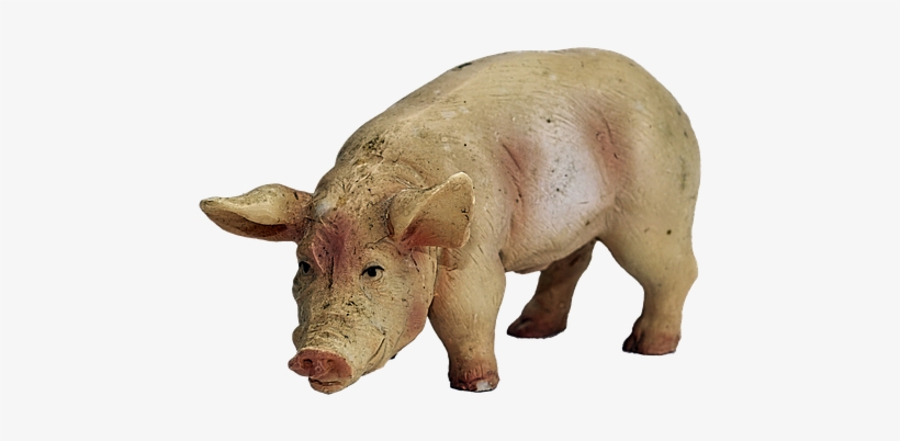 Pig, Figure, Ceramic, Lucky Pig - Domestic Pig, transparent png download