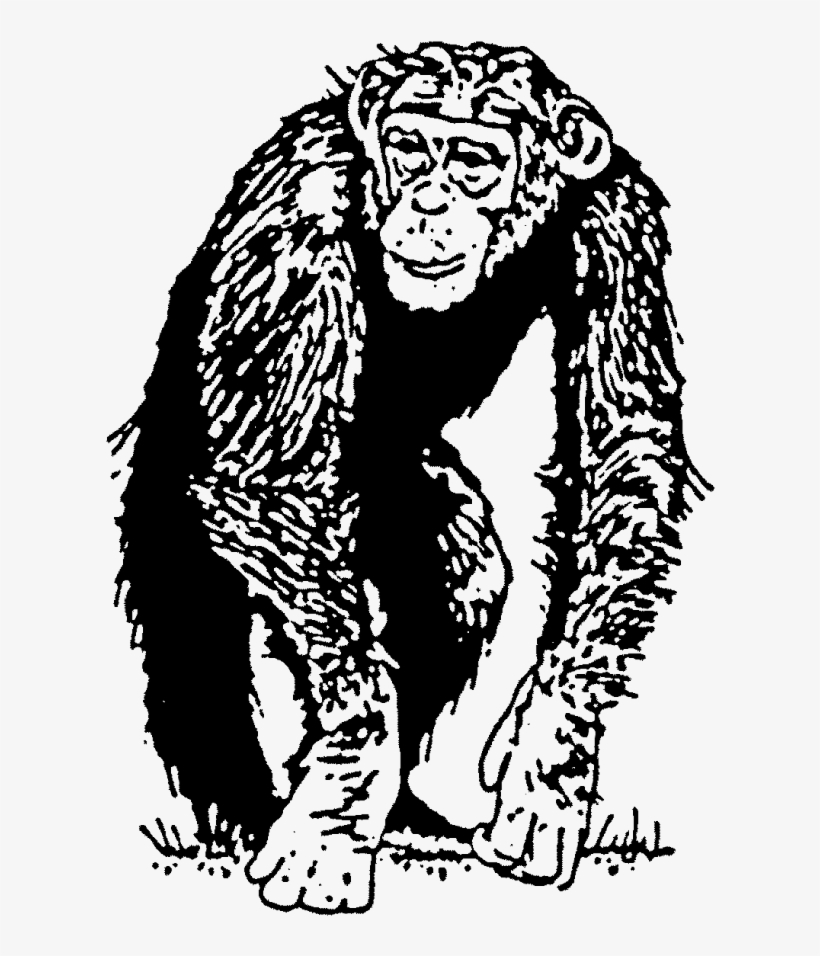 Chimp Rubber Stamp - Stamps Direct - Rubber Stamps & Accessories, transparent png download