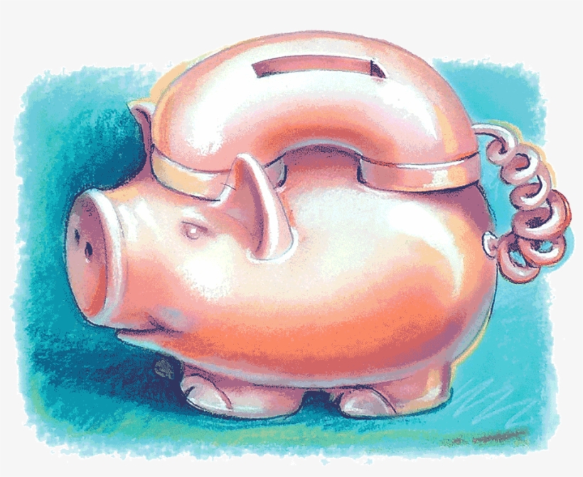 'in A Bubble' - Domestic Pig, transparent png download